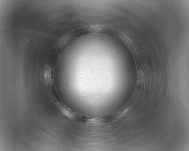 X0000071970238200607212326