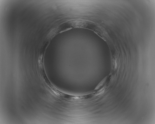 X0000071970239200607212326