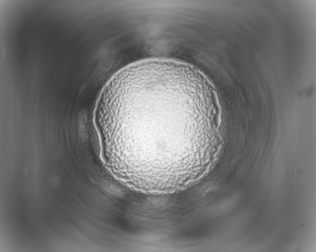 X0000071970240200607212326