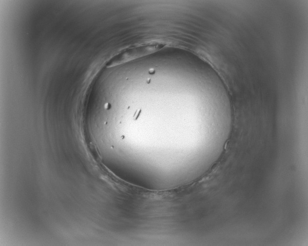 X0000071970241200607212325