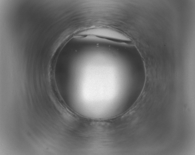 X0000071970242200607212325