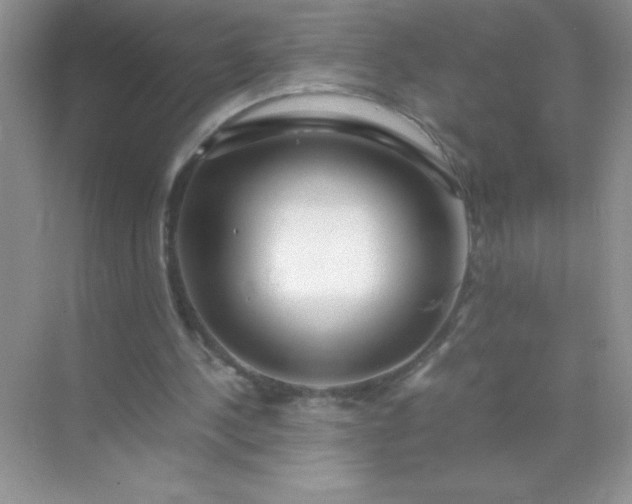 X0000071970244200607212325