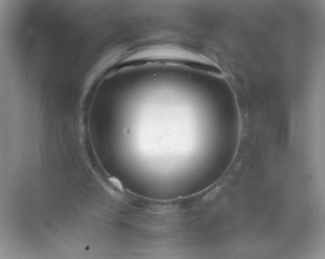 X0000071970245200607212325