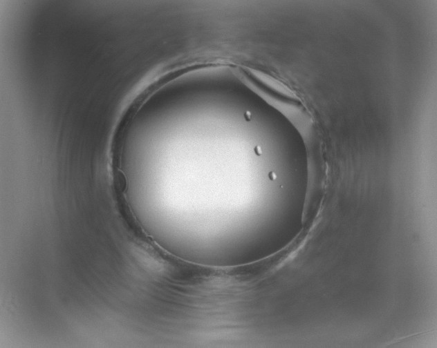 X0000071970246200607212325