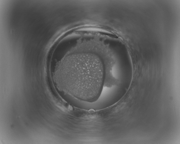 X0000071970247200607212325