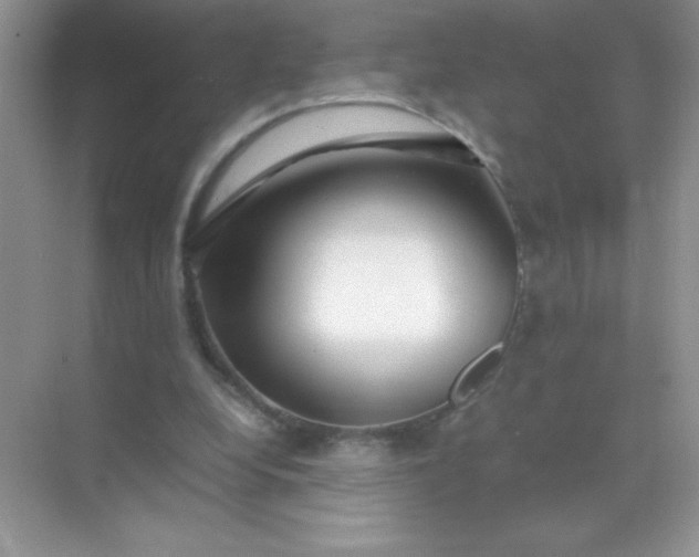 X0000071970248200607212325