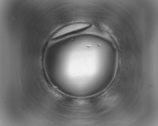 X0000071970249200607212325