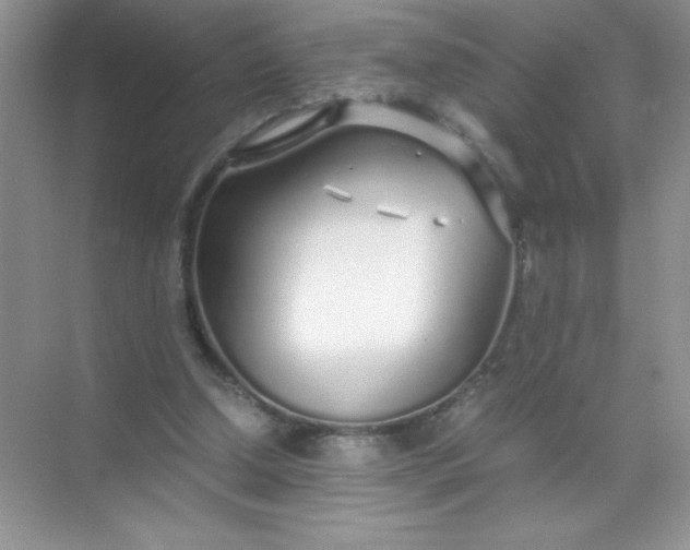 X0000071970250200607212325