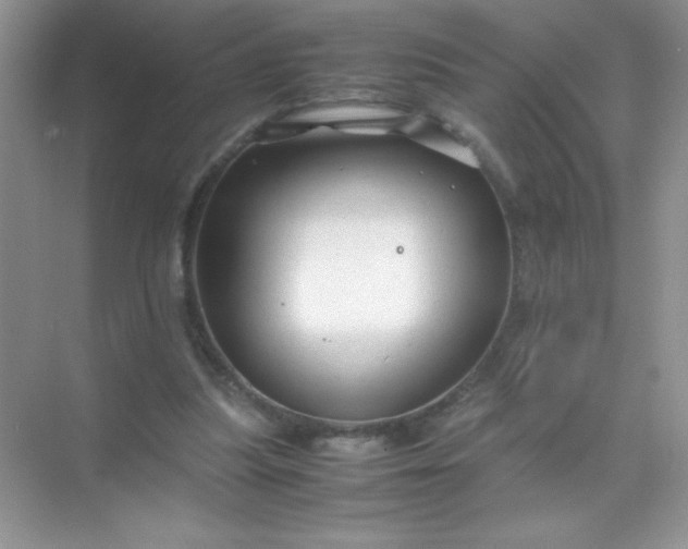 X0000071970251200607212325