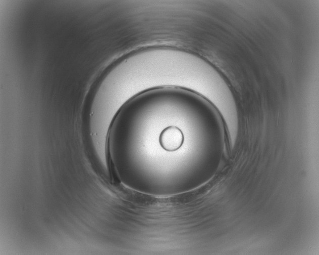 X0000071970252200607212325