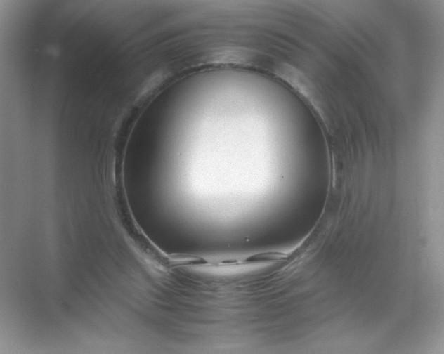 X0000071970253200607212325