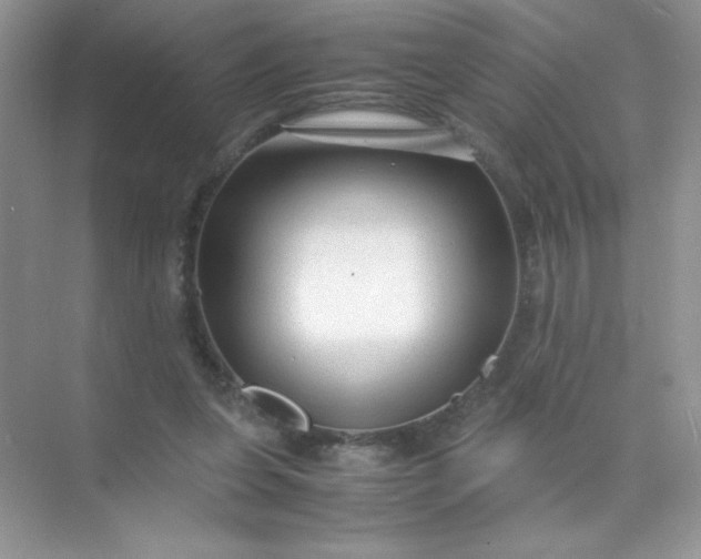 X0000071970255200607212325