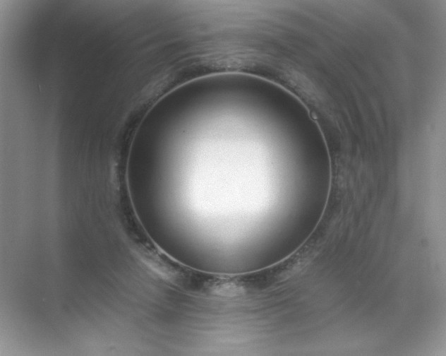 X0000071970258200607212326