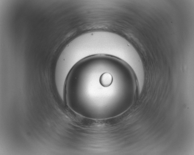 X0000071970260200607212326