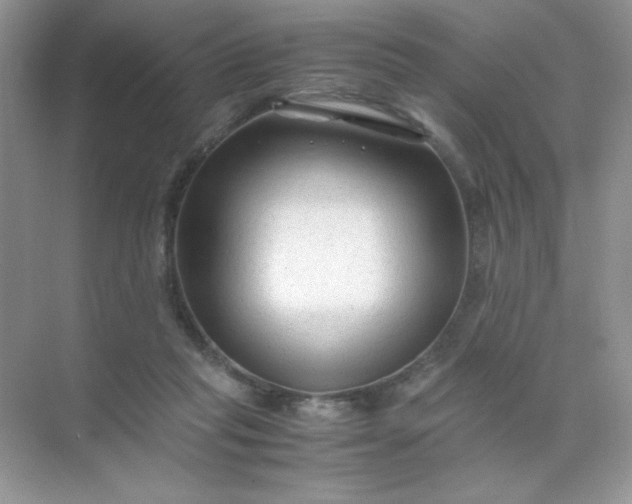 X0000071970261200607212326