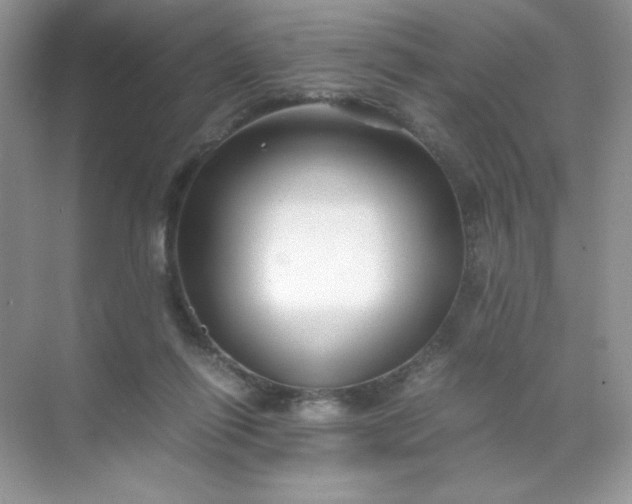 X0000071970262200607212326