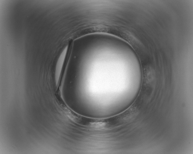 X0000071970266200607212326