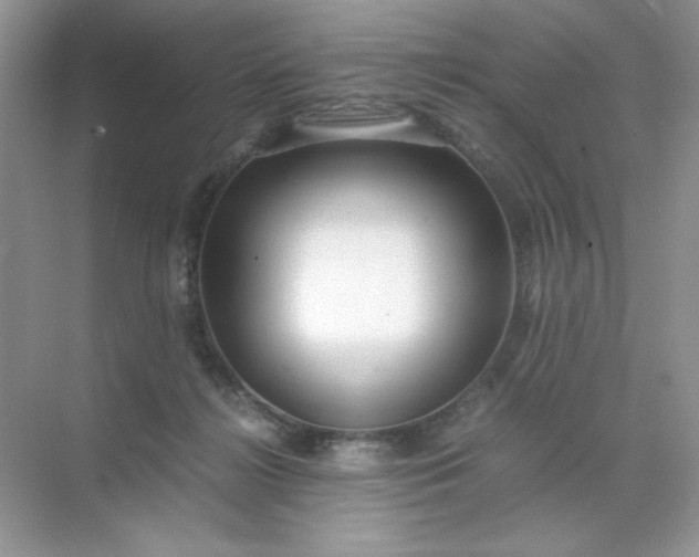 X0000071970268200607212326