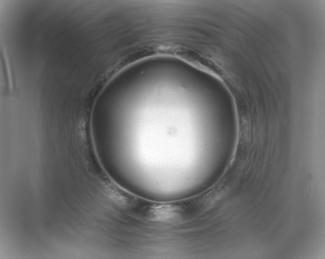 X0000071970269200607212326