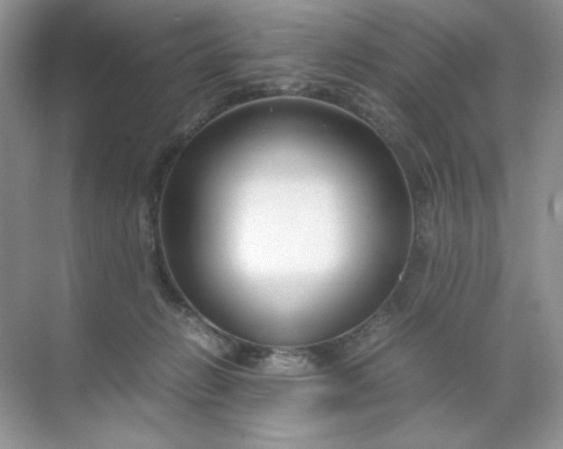 X0000071970270200607212326