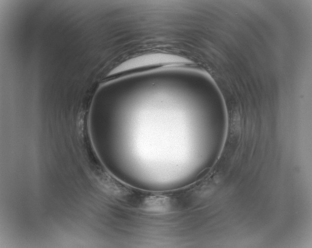 X0000071970271200607212326