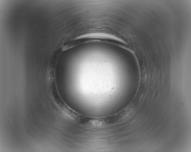 X0000071970272200607212326