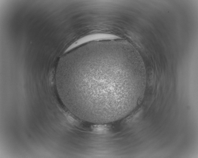 X0000071970273200607212326