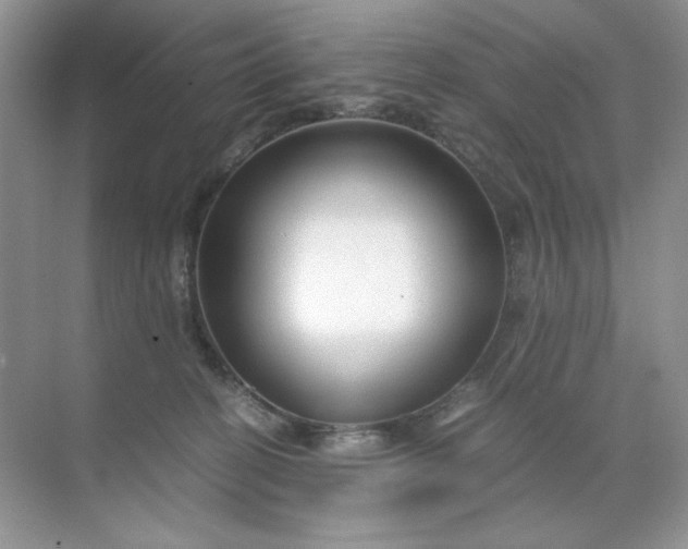 X0000071970274200607212326