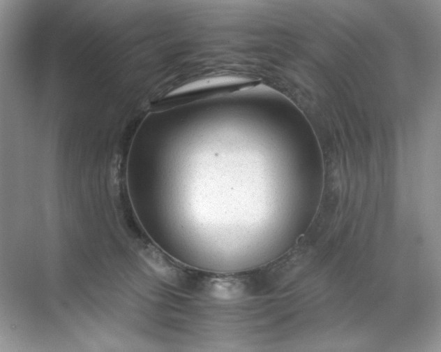 X0000071970275200607212326