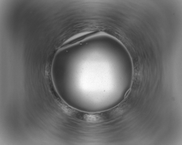 X0000071970277200607212326