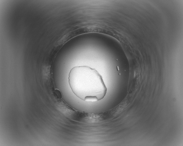 X0000071970278200607212326