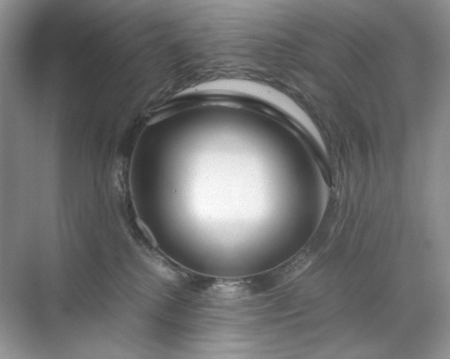 X0000071970280200607212326