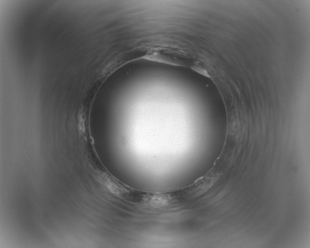 X0000071970282200607212326