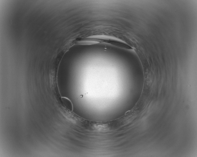 X0000071970283200607212326