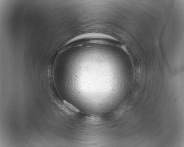 X0000071970284200607212326