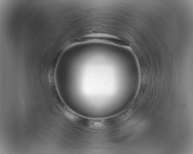 X0000071970285200607212326