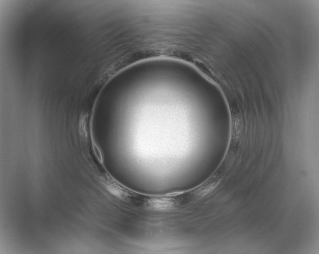 X0000071970286200607212326