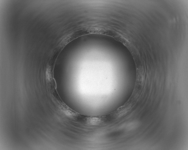 X0000071970287200607212326