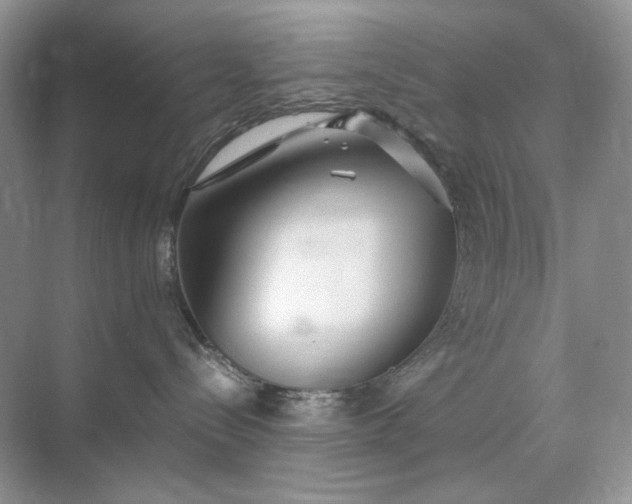 X0000071970288200607212326