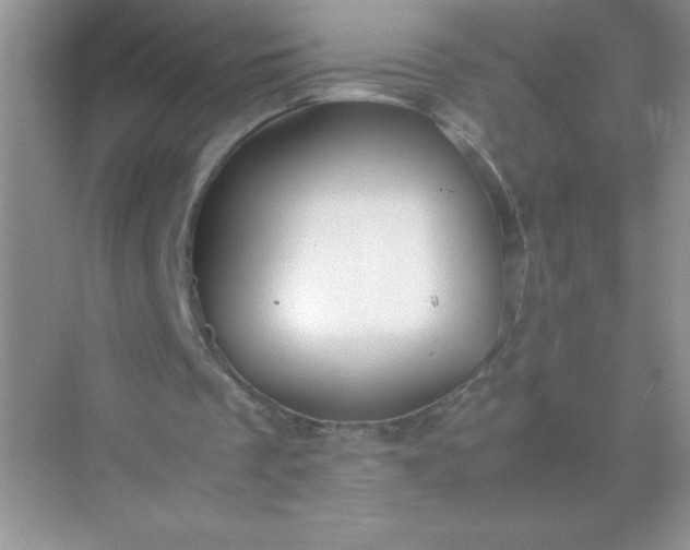 X0000071970289200607212325