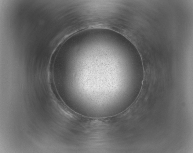 X0000071970290200607212325