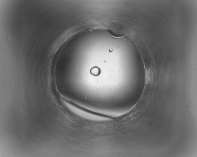 X0000071970291200607212325