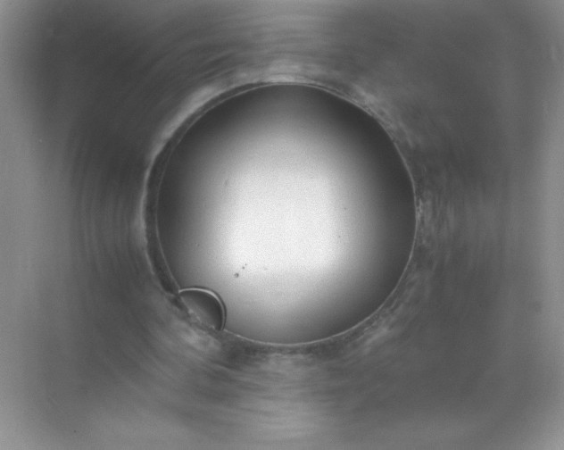 X0000071970292200607212325