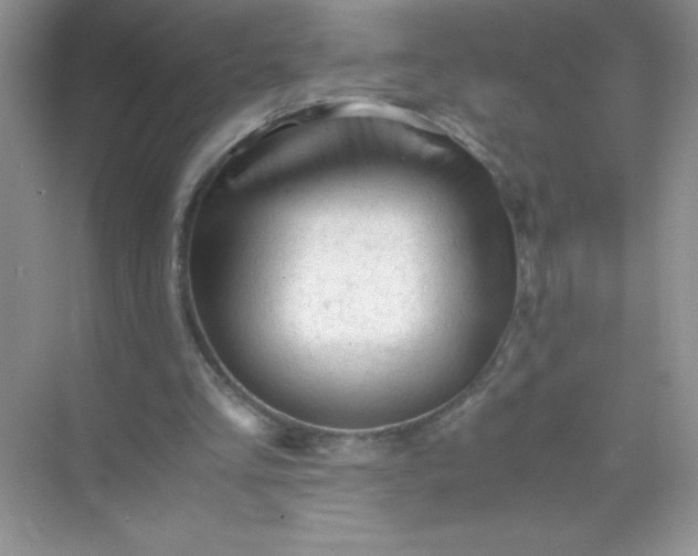 X0000071970293200607212325