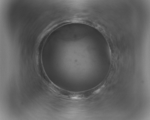 X0000071970295200607212325