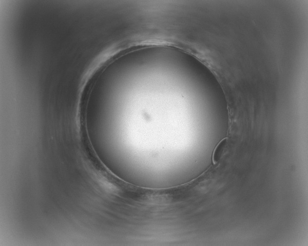 X0000071970296200607212325