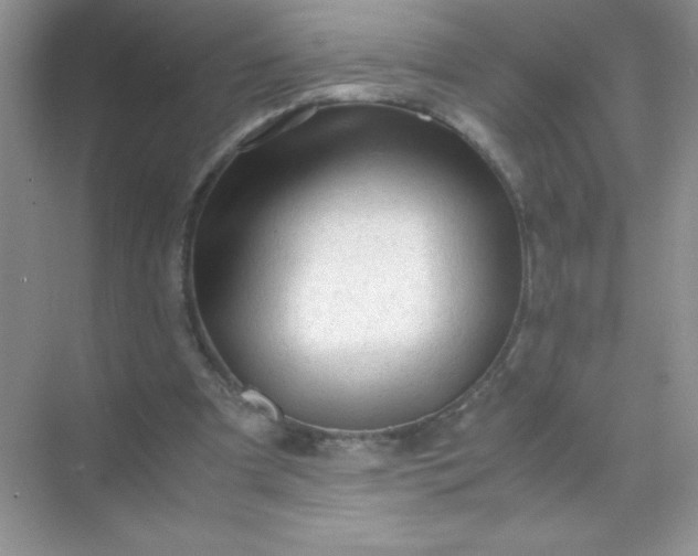 X0000071970297200607212325