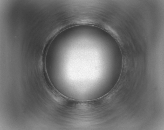 X0000071970298200607212325