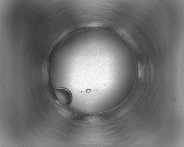 X0000071970300200607212325