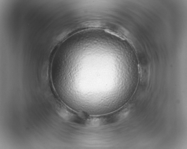 X0000071970301200607212325